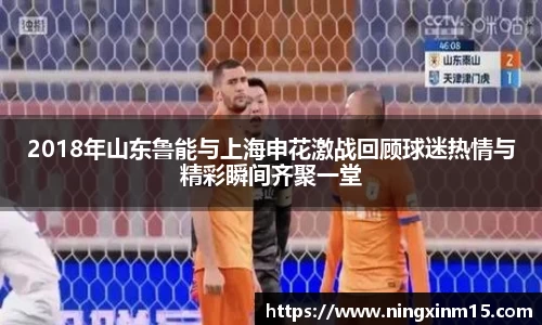 2018年山东鲁能与上海申花激战回顾球迷热情与精彩瞬间齐聚一堂